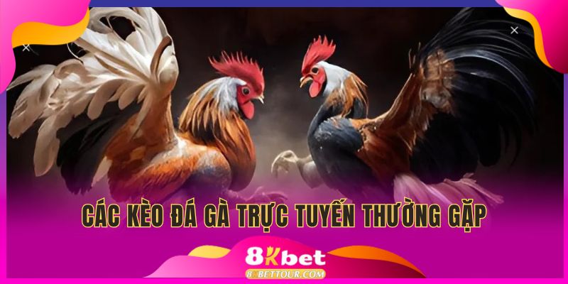 Tìm hiểu về kèo đá gà trực tuyến một cách dễ dàng