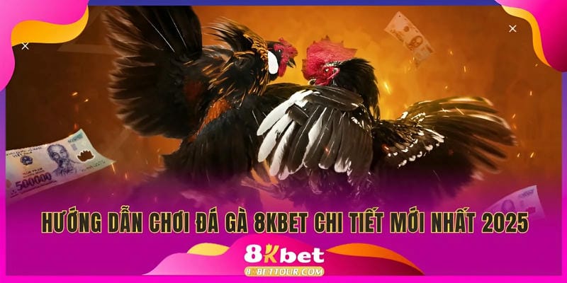 Hướng dẫn cách chơi đá gà 8Kbet
