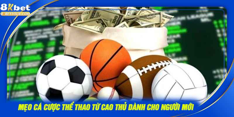 Mẹo cá cược thể thao 8KBET từ cao thủ dành cho người mới