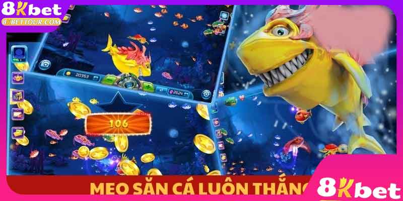 Mẹo săn cá luôn thắng từ cao thủ