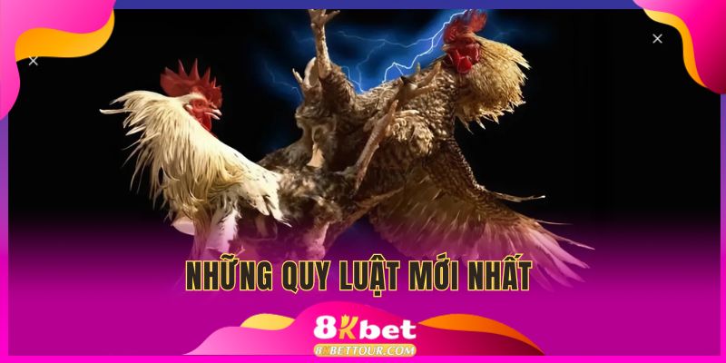 Những quy luật mới nhất về đá gà cựa dao hôm nay
