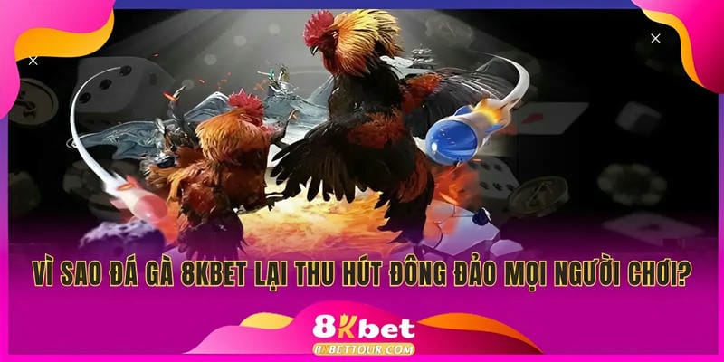 Tại sao đá gà 8Kbet lại được ưa chuộng?