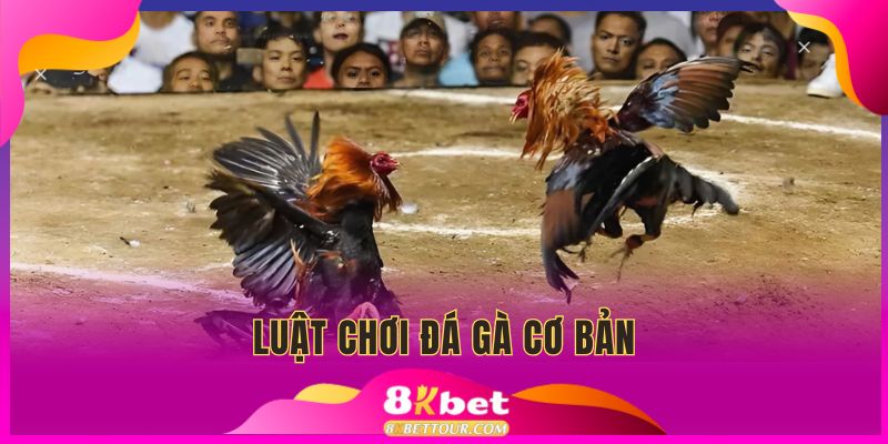 Tiết lộ luật chơi cơ bản chi tiết cho người mới
