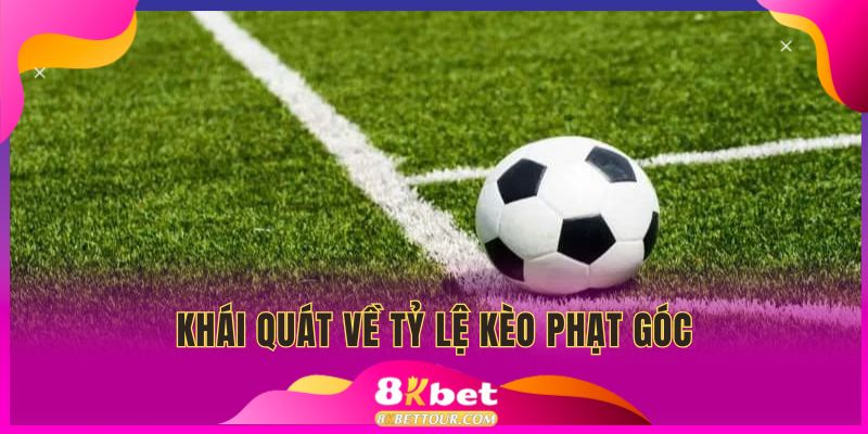 Tỷ lệ kèo phạt góc cuốn hút trong thể thao bóng đá